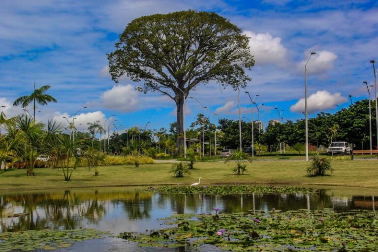 Parque Estadual do Utinga em Belém