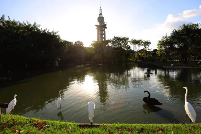 Mangal das Garças em Belém do Pará