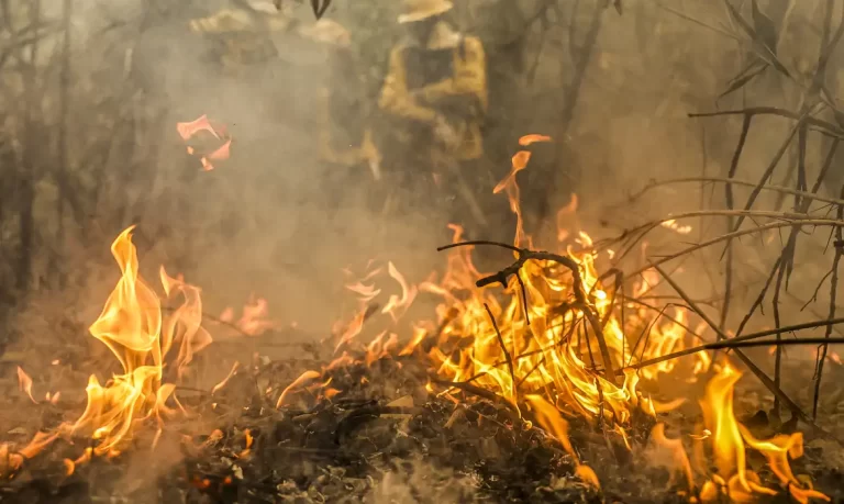 Incêndio no pantanal