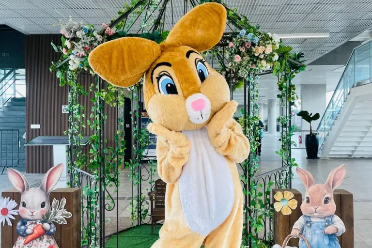 Divulgação Agência Pará