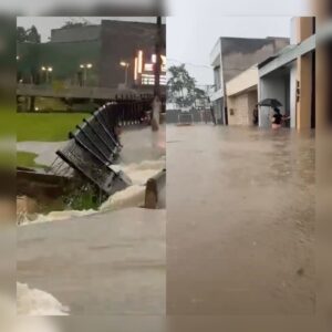 Reprodução redes sociais